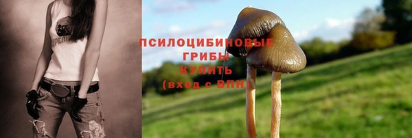 jwh Армянск