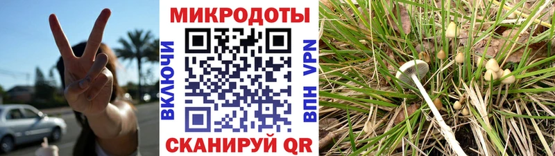 закладка  Звенигово  KRAKEN ONION  Псилоцибиновые грибы Magic Shrooms 